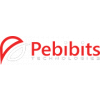 Pebibits Technologies Pvt. Ltd.